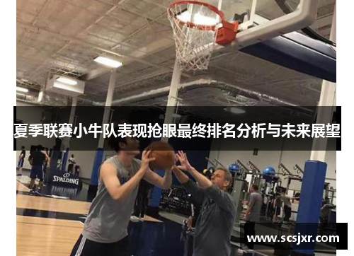 夏季联赛小牛队表现抢眼最终排名分析与未来展望